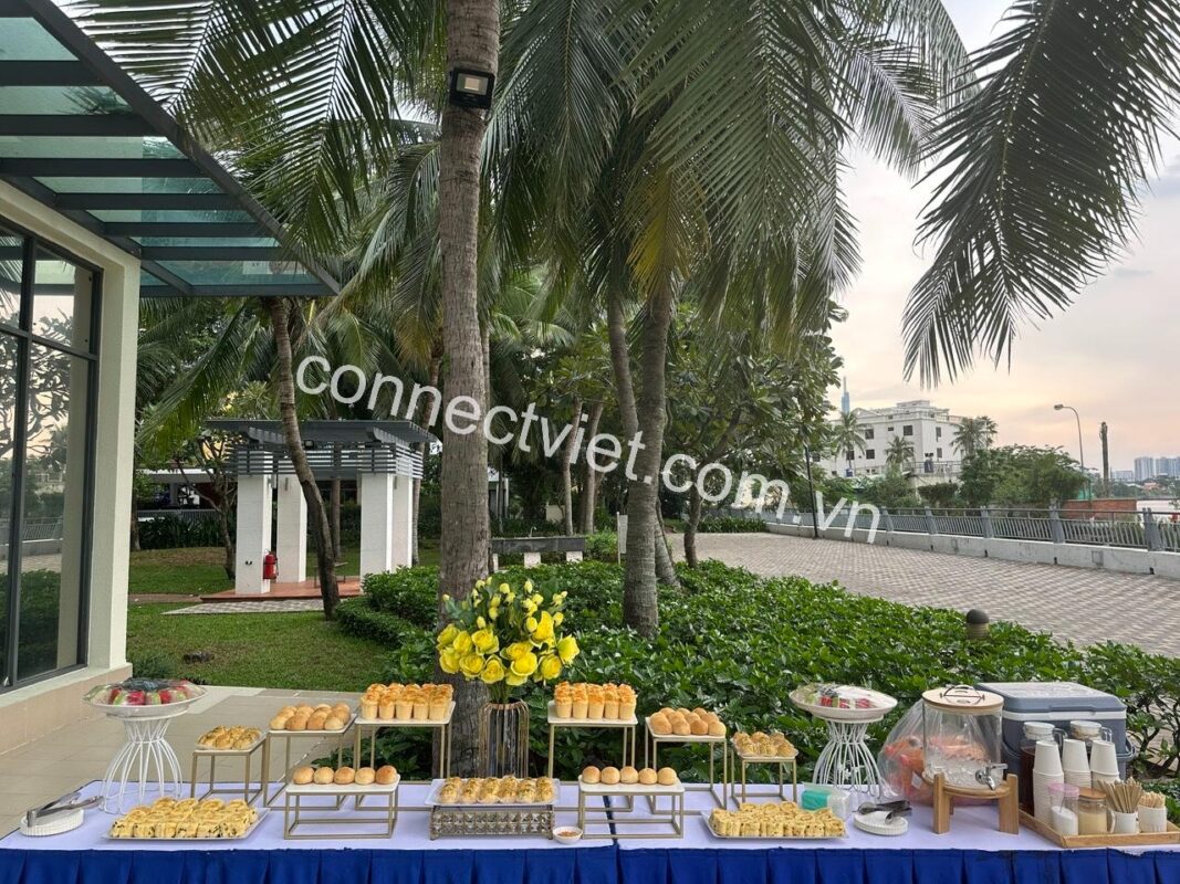 Connect Việt