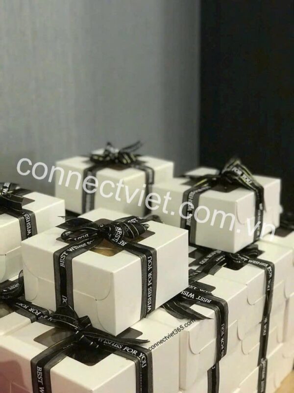 Connect Việt