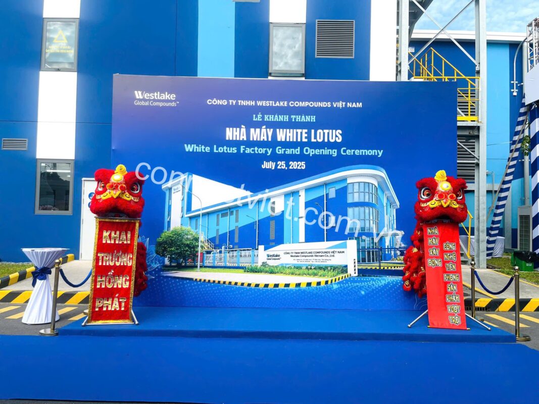 Connect Việt